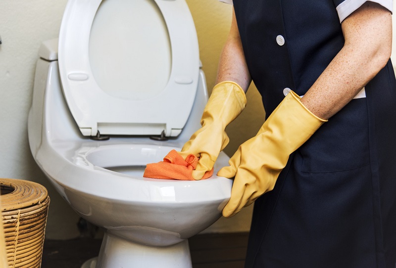 House Cleaners