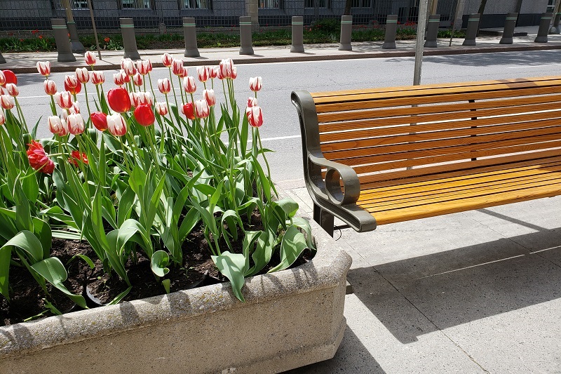 Concrete Planter Boxes