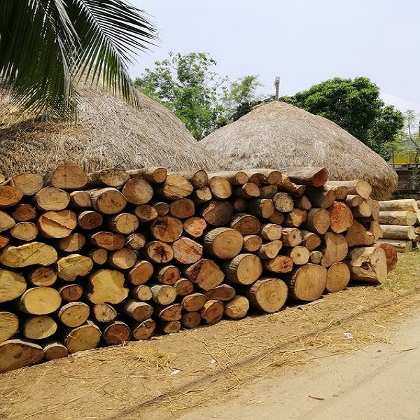 Bulk Firewood