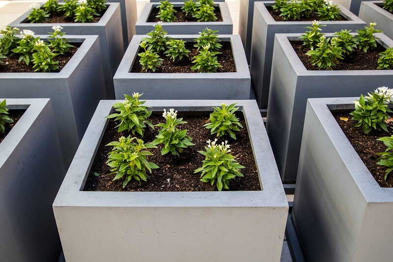 Planter Boxes