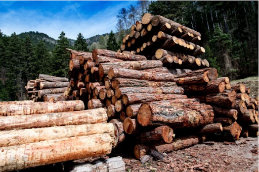 Why Buy Bulk Firewood For Sale?