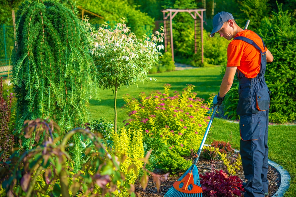 Best-Landscaping-Mentone