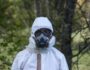 Asbestos