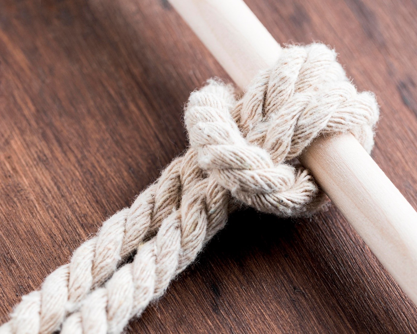 Double braid ropes