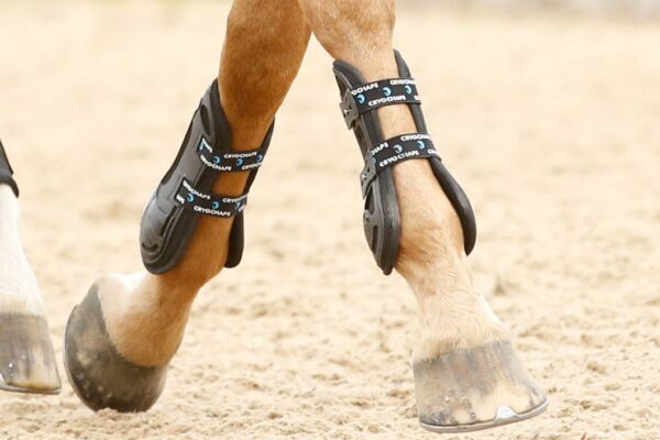 Horse Protection Boots.