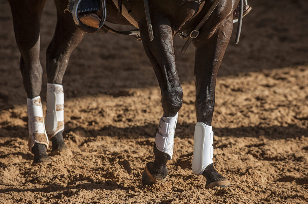 Horse Protection Boots.