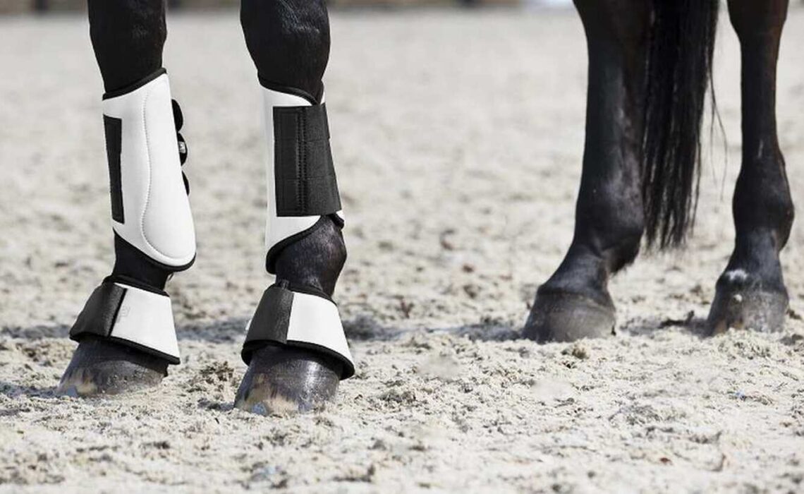 Horse Protection Boots