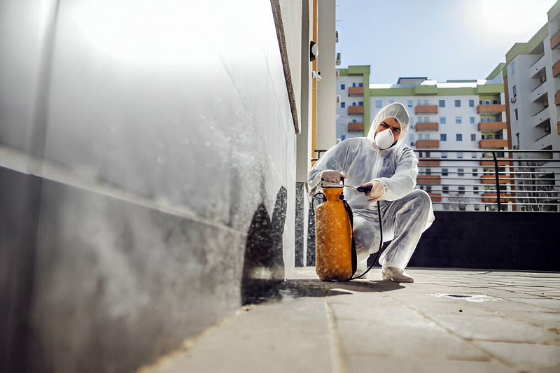 Termite Treatment Cost