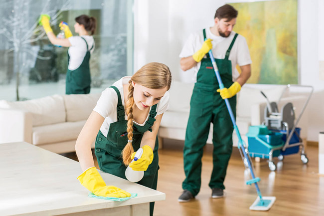 Professional cleaners Sunshine