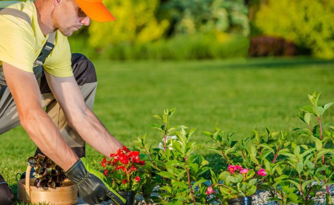 landscaper Vermont
