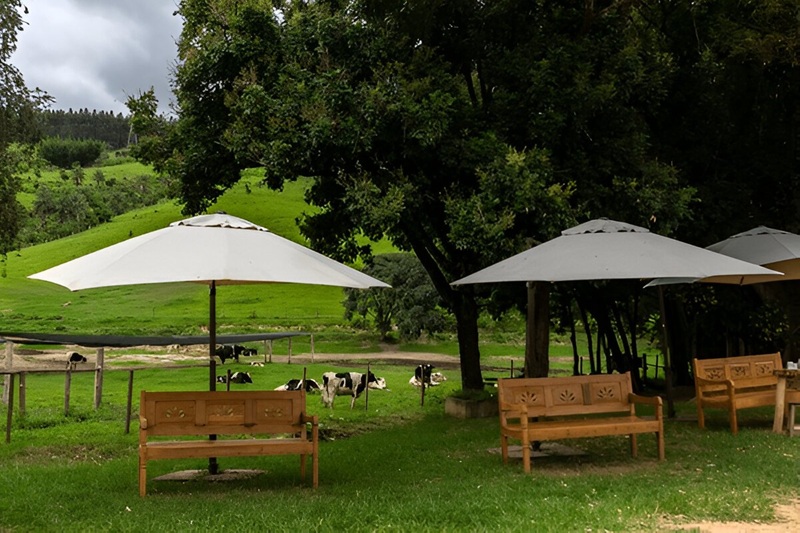 heavy duty umbrella melbourne