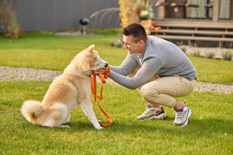 dog trainers melbourne