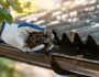 gutter cleaning mornington